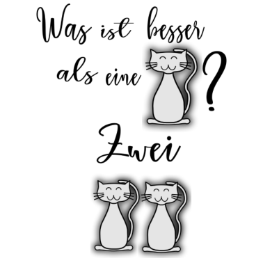 Motiv Was ist besser als eine Katze?