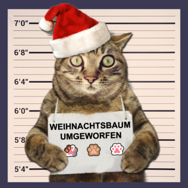 Motiv Katze Weihnachten