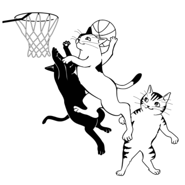 Motiv Katze Basketball Sport