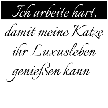 Motiv katze - Luxusleben einer Katze