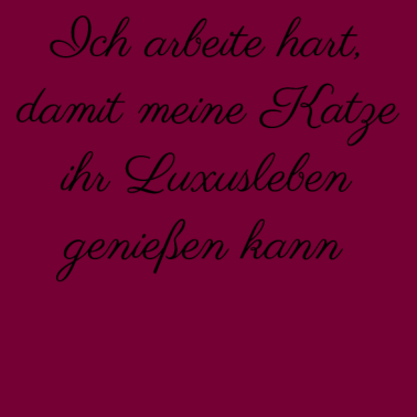 Motiv katze - Luxusleben einer Katze