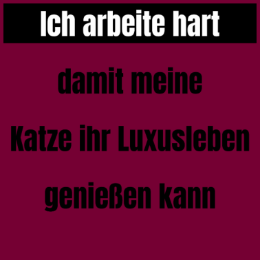 Motiv katze - Luxusleben einer Katze