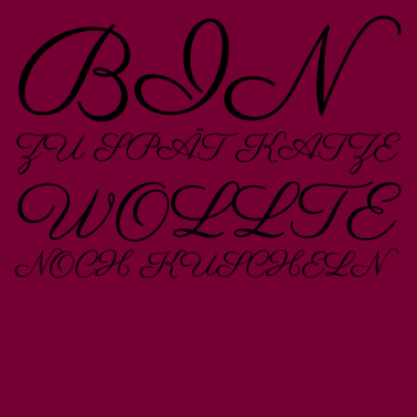 Motiv katze - Katze wollte kuscheln