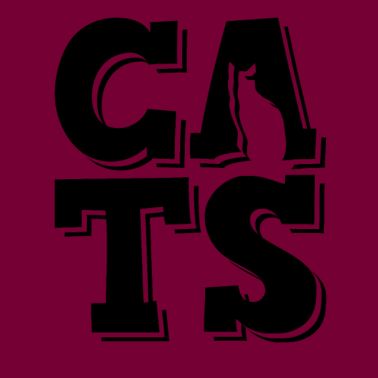 Motiv katze katzen spruch