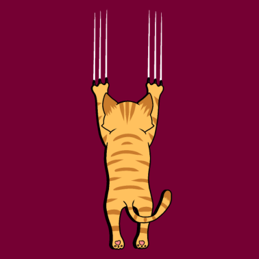 Motiv Katze Katzen lustig