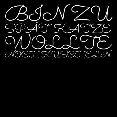 Motiv katze - Katze wollte kuscheln