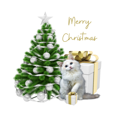 Motiv Merry Christmas Frohe Weihnachten Katze Geschenk