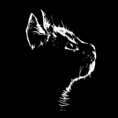 Motiv Katzen Gesicht Illustration Zeichnung Silhouette