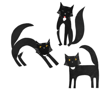 Motiv Schwarzweiss-Smoking-Katzen