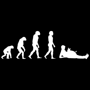 Motiv Katze Kater Katzen