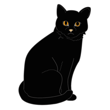 Motiv Schwarze Katze