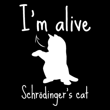 Motiv schrödingers katze lustig Geschenk Wissenschaft