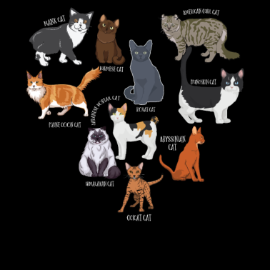 Motiv Arten Von Katzen, Katzen, Kätzchen