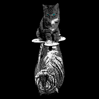 Motiv Katze Tiger Selbstbewusst Motivation