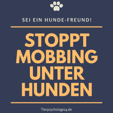 Motiv Sei ein Hundefreund, Stoppt Mobbing unter Hunden