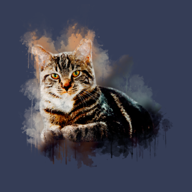 Motiv Katzen geschenk shirt