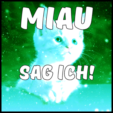 Motiv Miau Katze Tiere Haustiere Spruch