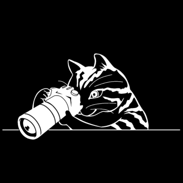 Motiv WEISSE KATZE MIT FOTO | GESCHENKIDEE