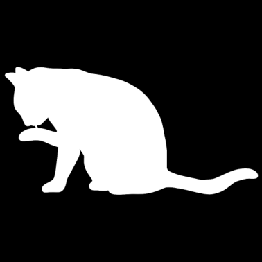 Motiv Katze leckt Pfote