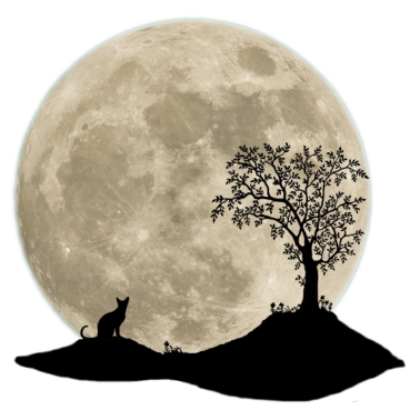 Motiv Katze sitzt vor Vollmond Landschaft