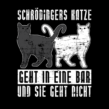 Motiv Physik Schrödingers Katze Naturwissenschaft