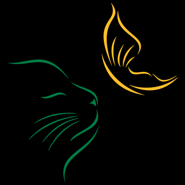 Motiv katze_mit_schmetterling2