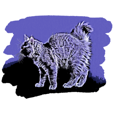 Motiv Violette Katze