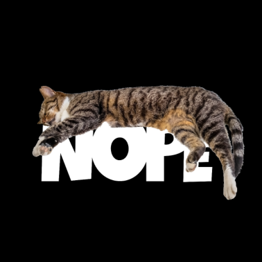 Motiv Nope Katze