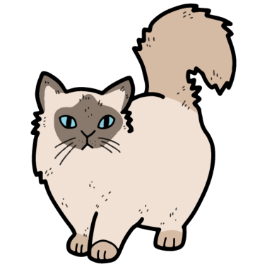 Motiv Katze: Heilige Birma