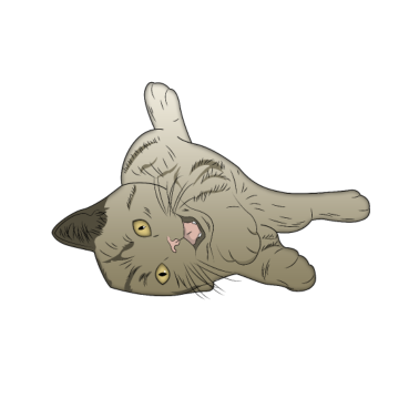 Motiv Katze am spielen