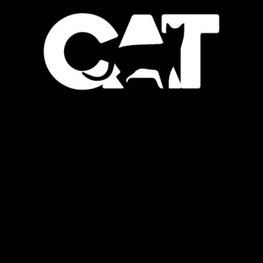 Motiv Katze bei Nacht