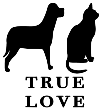 Motiv Hund und Katze