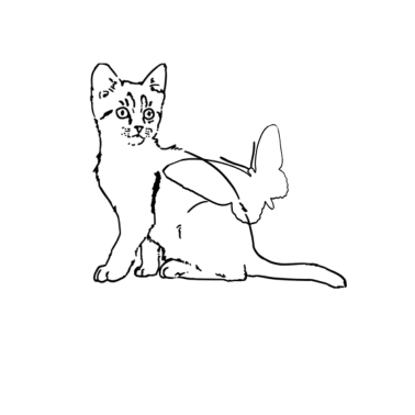 Motiv Katze Schmetterling Umriss