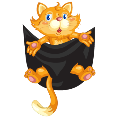 Motiv Katze Katze in der Tasche