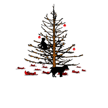 Motiv Katze und Hund an Weihnachten