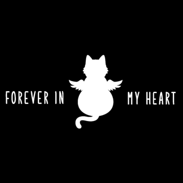 Motiv Katze Trauer Abschied Tod traurig Geschenk Engel