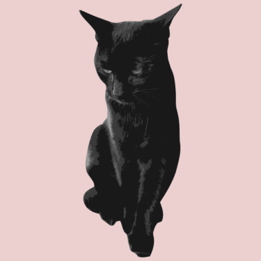 Motiv schwarze stolze Katze Katzenliebe