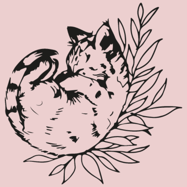 Motiv Süße Katze Kätzchen Kitten Maine Coon Katzenfreund