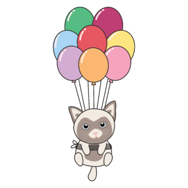 Motiv Katze fliegt mit bunten Luftballons nach oben