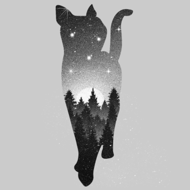 Motiv Katze in der Nacht