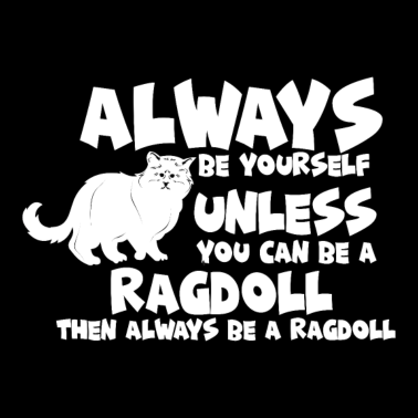 Motiv Ragdoll Katzen