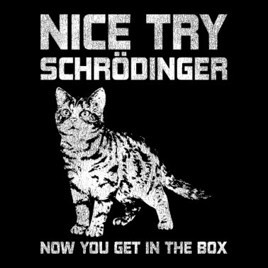 Motiv Physik Schrödingers Katze