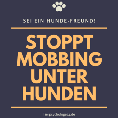Motiv Sei ein Hundefreund, Stoppt Mobbing unter Hunden