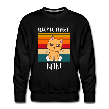 Katzen Pullover - Bevor Du Fragst Nein Katze Lustiger Spruch