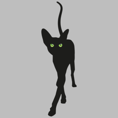 Motiv elegante schwarze katze