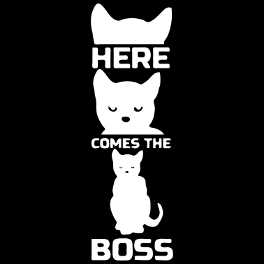 Motiv Katzen Boss Katze Chef Tier Haustier Geschenk