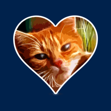 Motiv Katzenherz Katze Tier Haustier Liebe Geschenk