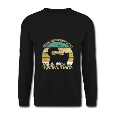 Katzen Pullover - Katze Ich kam sah und hatte direkt keinen Bock Ges