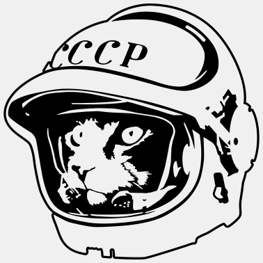 Motiv Kosmo Katze Astronaout