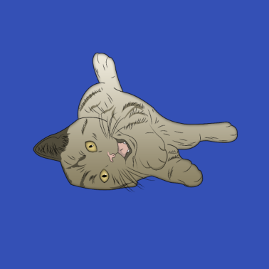 Motiv Katze am spielen